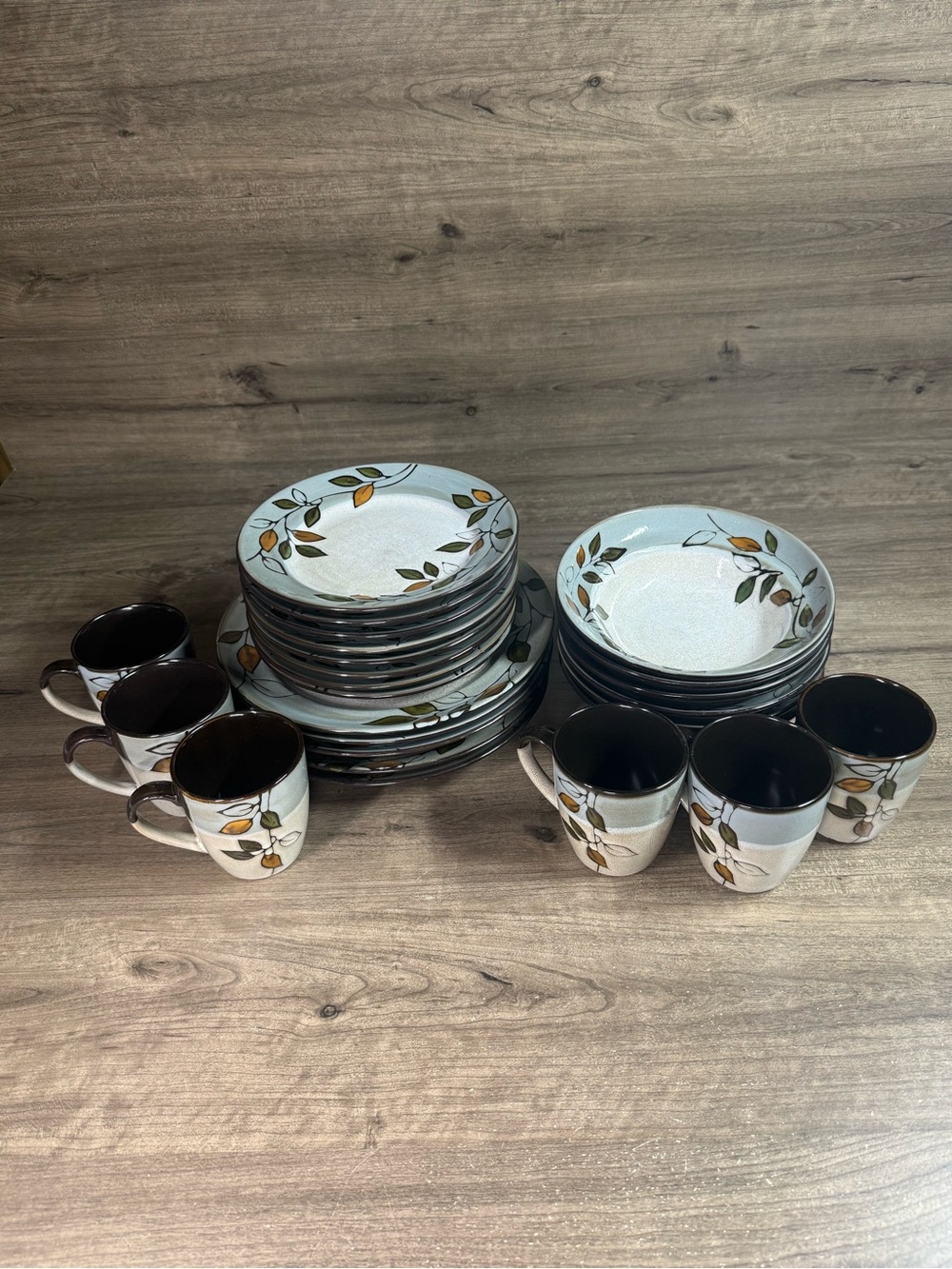 (25 Piece Dish Set) Pfaltzgraff Everyday Rustic Leaves Fall Dosh Set